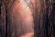 华体会体育：西甲第3輪巴塞羅那2-1赫塔菲 羅貝托開場99秒進球德佩破門.