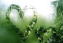 北青：大連人大概率全華班出戰中超不會引進外援.