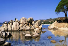 中国名将齐广璞争做冬奥会“五朝元老”.